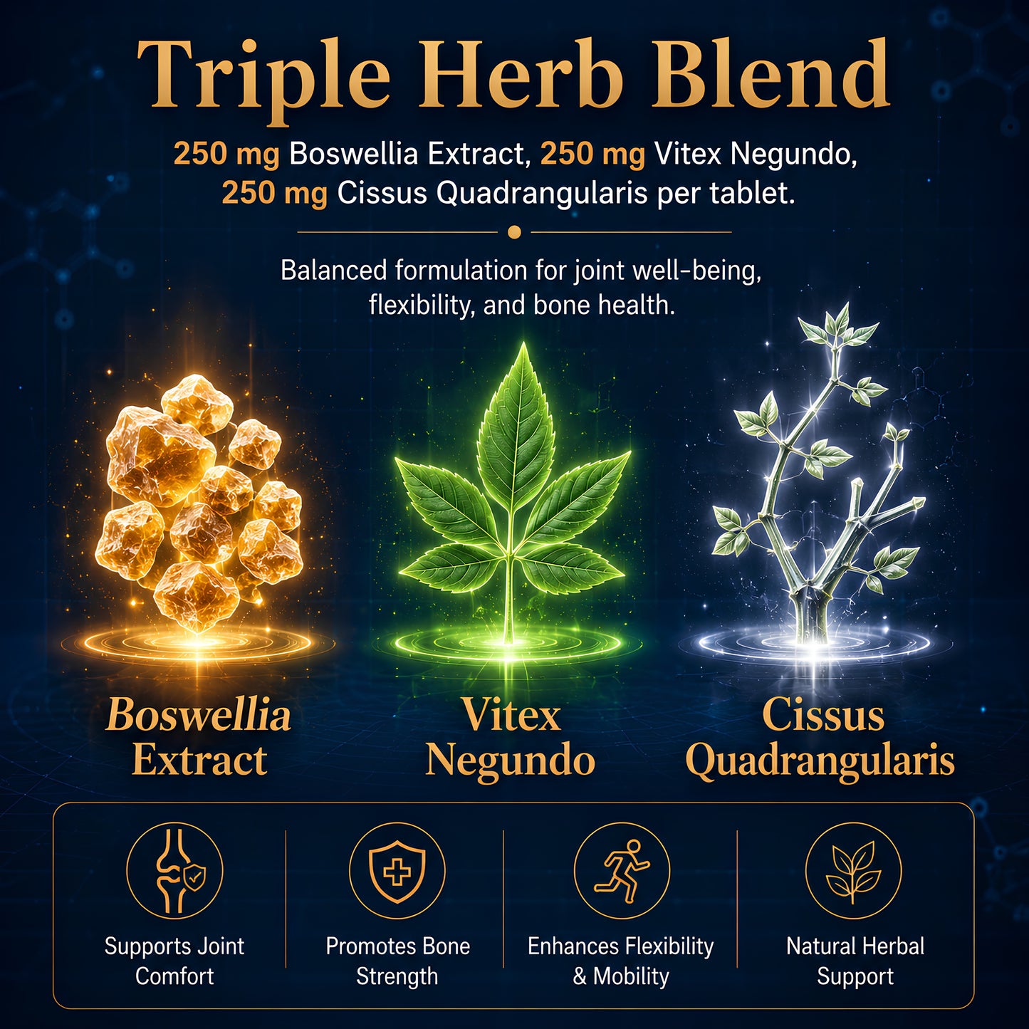 Joint wellness supplement tablets