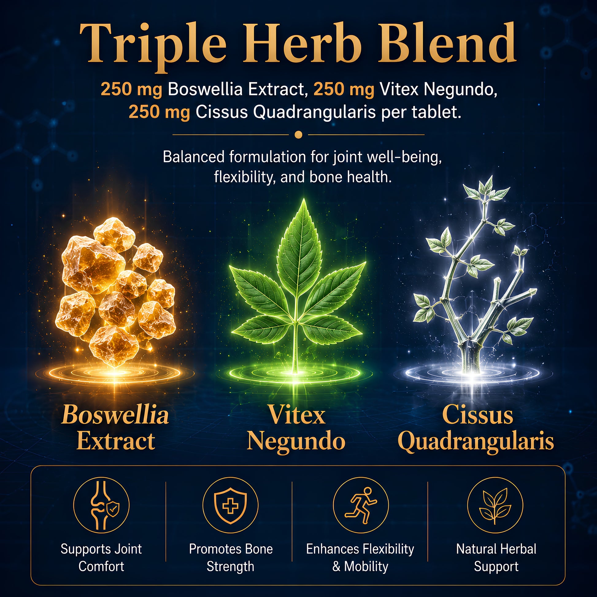 Joint wellness supplement tablets