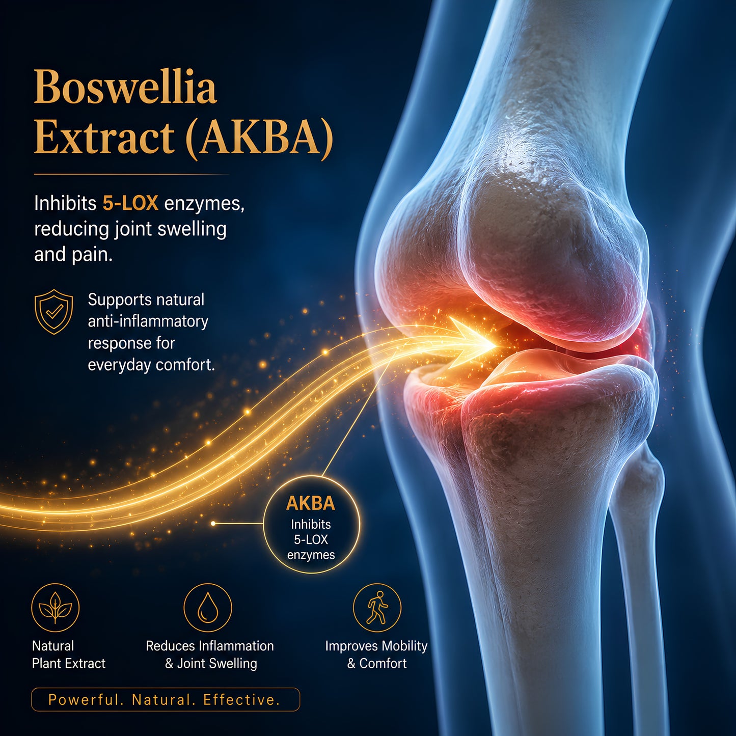 Arthomed tablets for healthy joints and mobility
